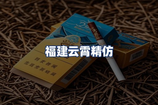 福建云霄精仿